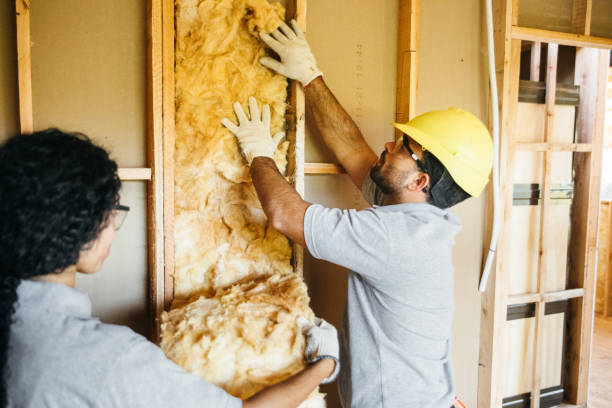 Best Soundproof Insulation Installation  in Bay Hill, FL