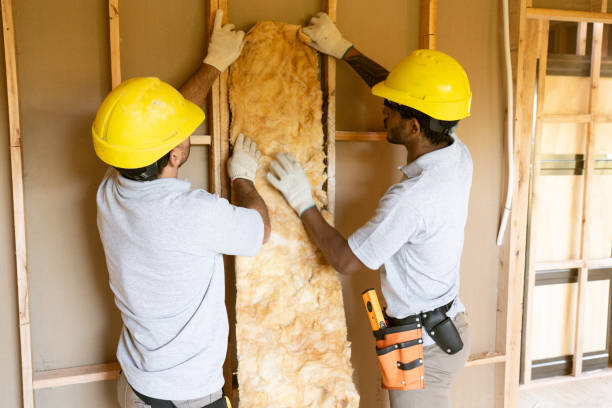 Insulation for New Construction in Bay Hill, FL